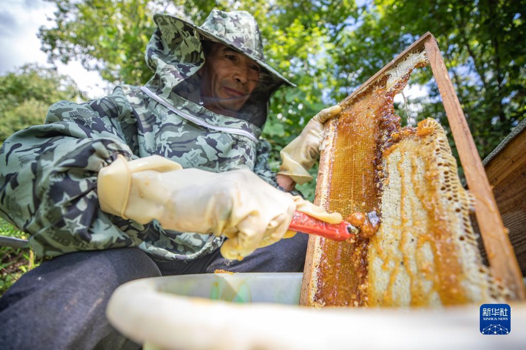 无需申请即送68元彩金